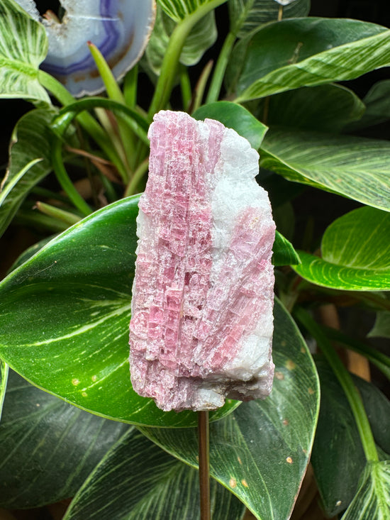 9/26 Pink Tourmaline