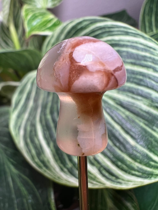 E* Flower Agate Mini Mushroom Plant Crystal