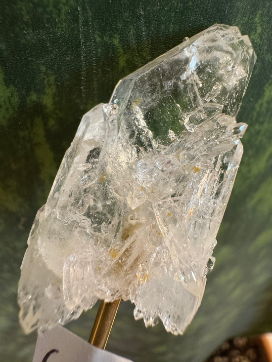Mari Lemurian