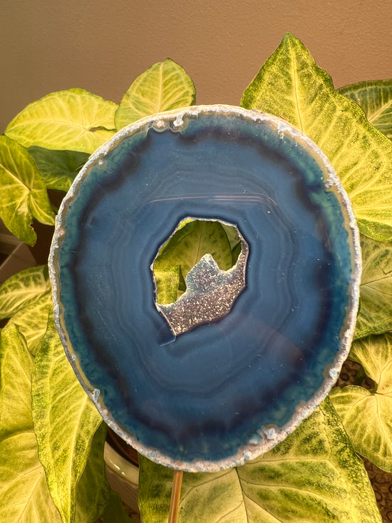 9/3 Blue Agate Plant Crystal