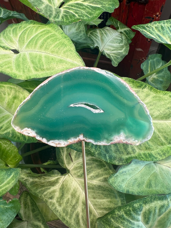 9/3 Green Agate Plant Crystal