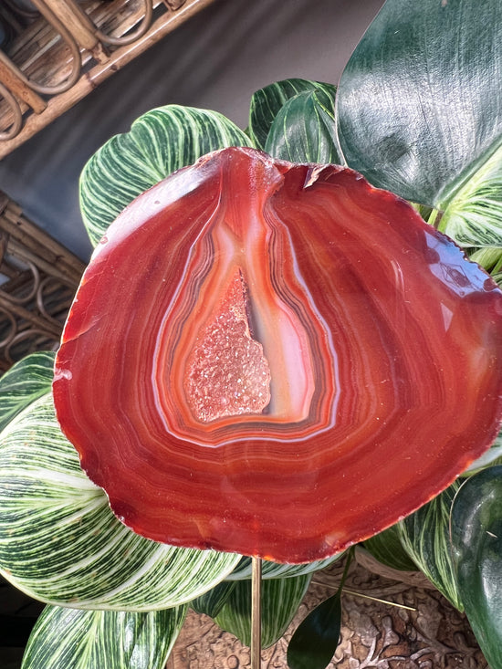 Red Agate