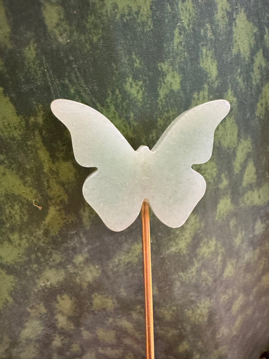 Pimp butterfly + Free Mini