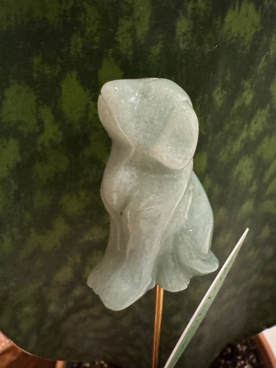 Aventurine Dog