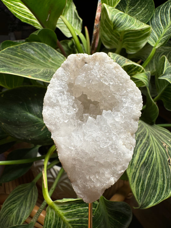 10/1 Mini Quartz Geode