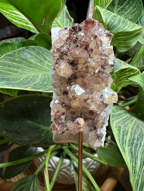 10/1 Citrine Rutile