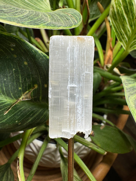 10/1 Mini Selenite