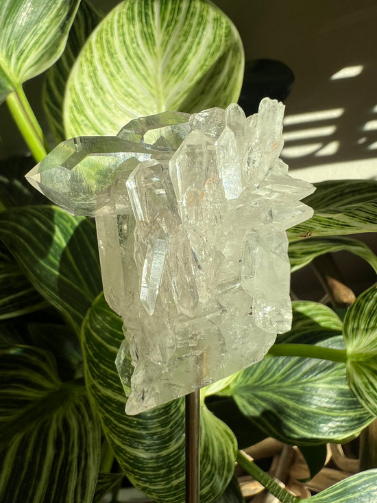 Marisa Pink Lemurian Quartz