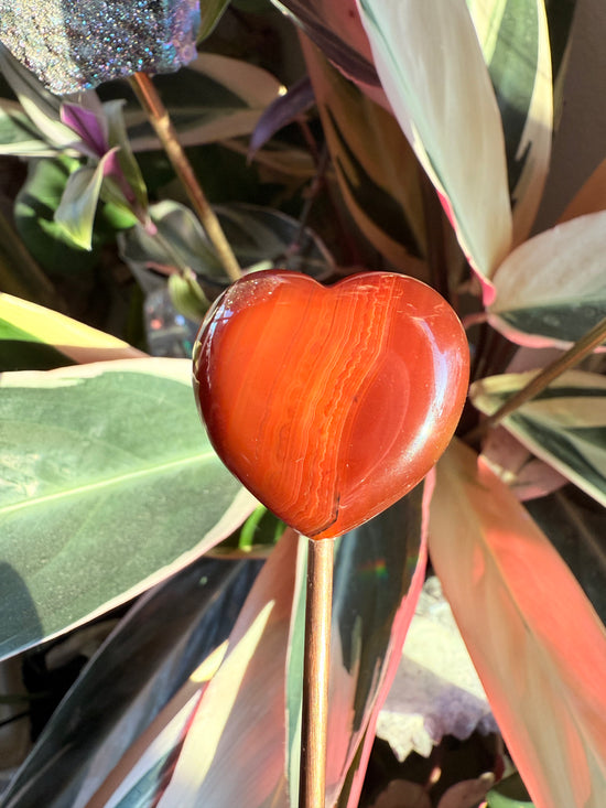 Carnelian Heart