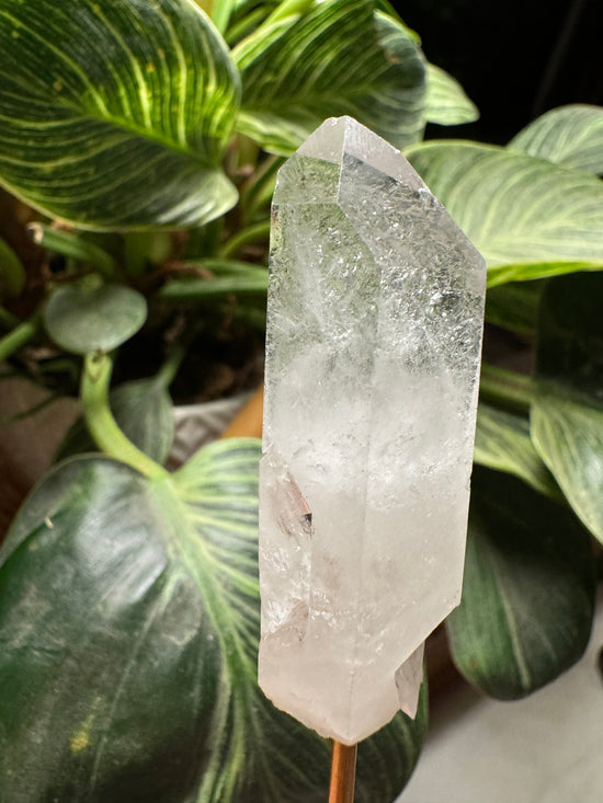 10/6 Mini Quartz