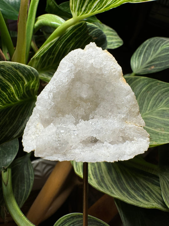 10/6 Moroccan Quartz