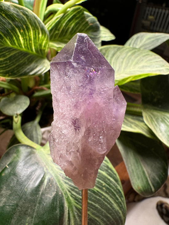 10/6 Amethyst