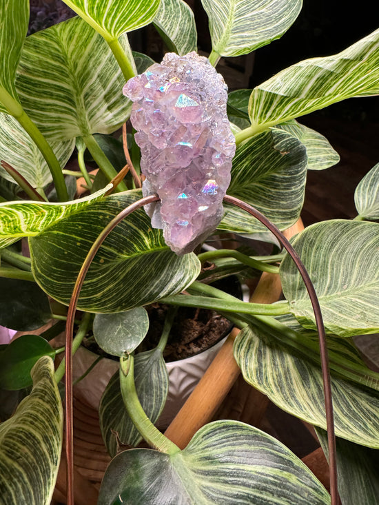 Felecia Mini Angel Aura Amethyst Trellis