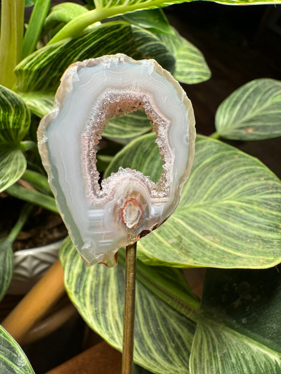 Carolyn - Mini Agate