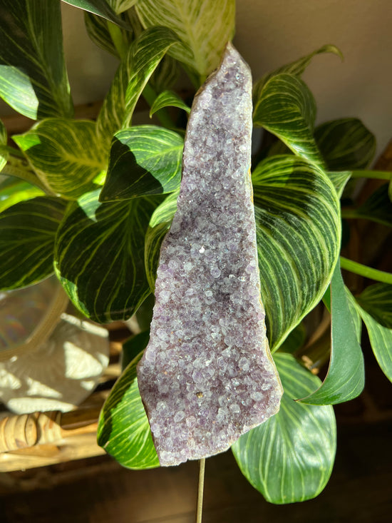 Amethyst Power Scepter