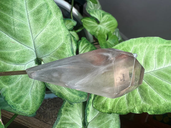 9/17 Spirit Tomb Quartz Plant Crystal