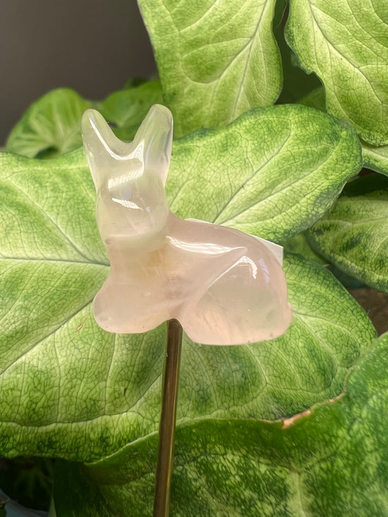 9/17 Mini Bunny Rose Quartz Plant Crystal