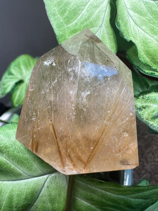 9/17 Gold Rutile Quartz Plant Crystal