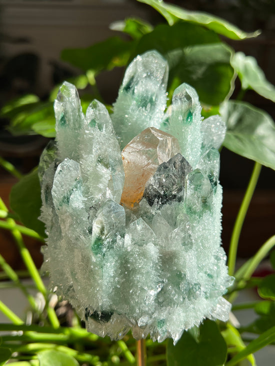 Green Phantom Quartz Mega Castle Plant Crystal