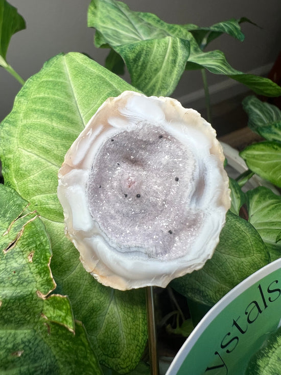 9/17 Agate Geode Plant Crystal