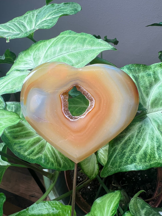 Agate Heart with portal Plant Crystal