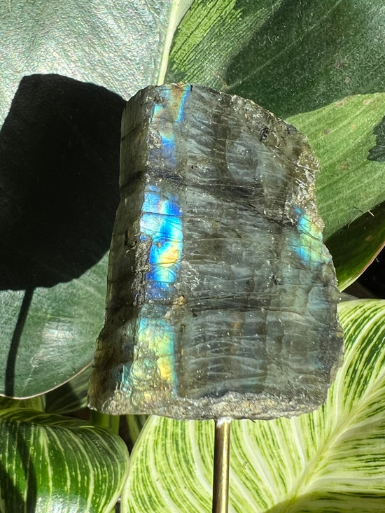 12/15 Labradorite