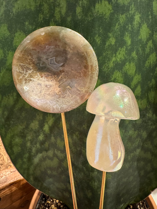 Alyssa - Moss Agate, Aura Mushy + Intuitive PC + FREE Mini