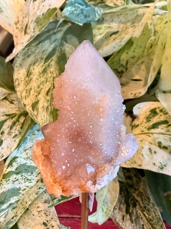 Rose Spirit Fairy Quartz + Free Gift