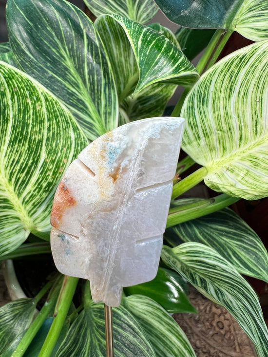 12/17 Flower Agate Leaf