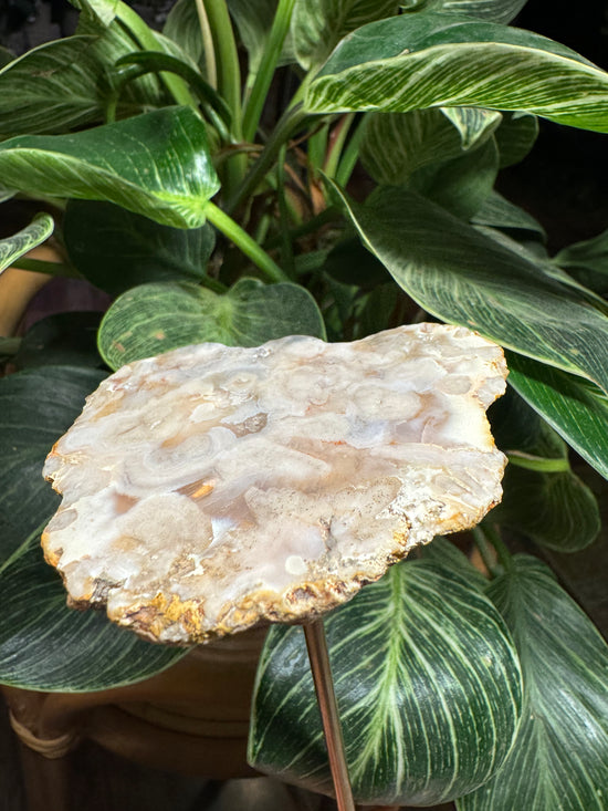 10/13 Flower Agate Incense Holder