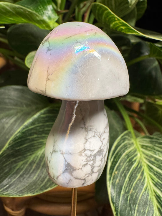 Angel Aura Howlite Mushie