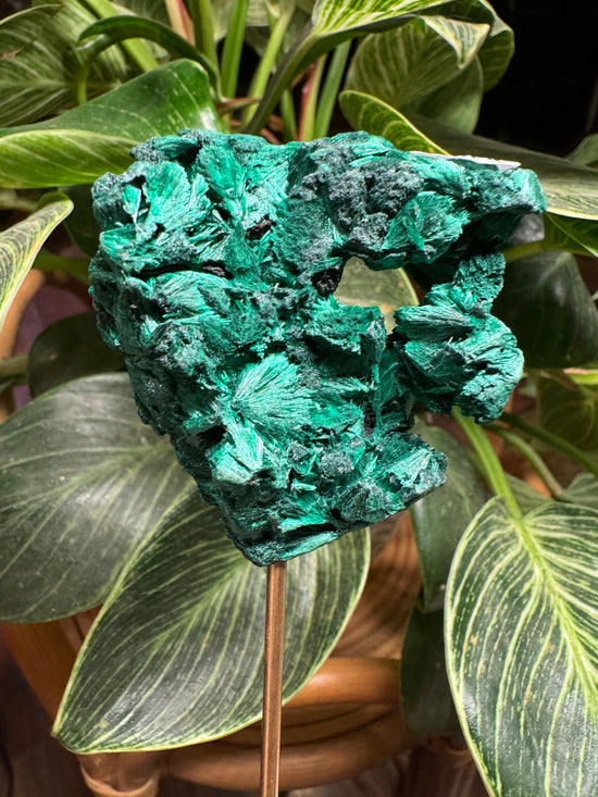 10/13 Malachite