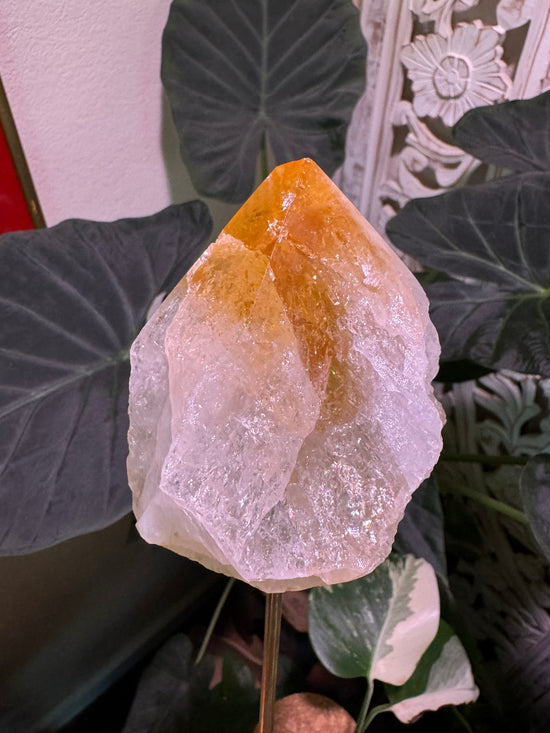 Honey Citrine