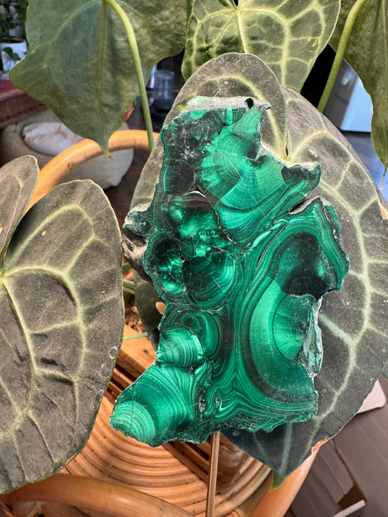 10/17 Malachite