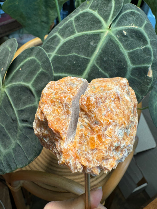 10/17 Orange Calcite Card Holder