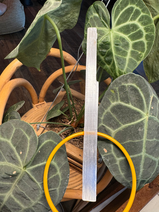 Amber Selenite Trellis