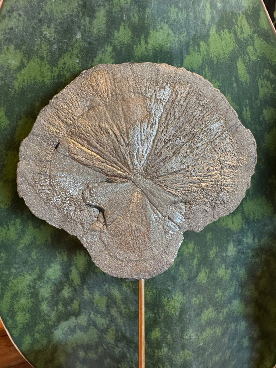 Pyrite Flower