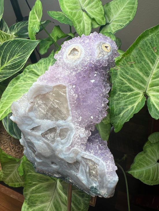 Owl Premium Amethyst Cluster Plant Crystal