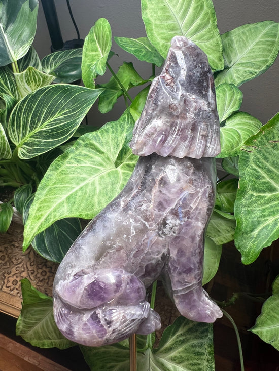 Large Intricate Amethyst Wolf Plant Crystal