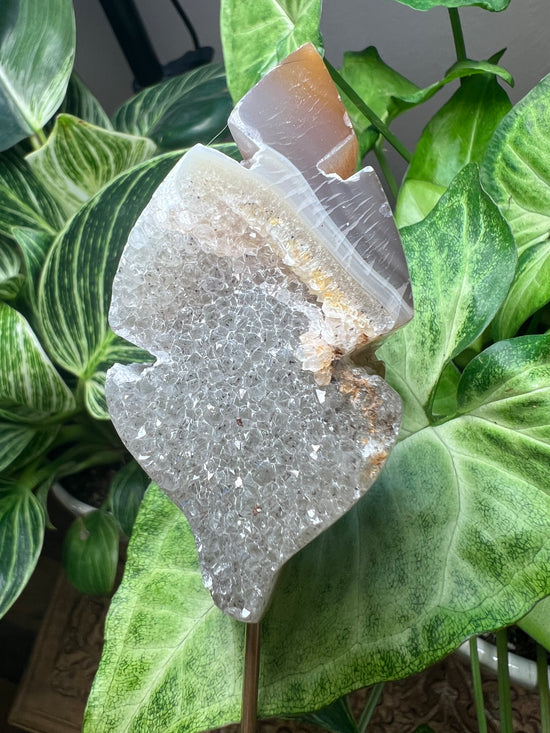 Druzy Leaf Plant Crystal