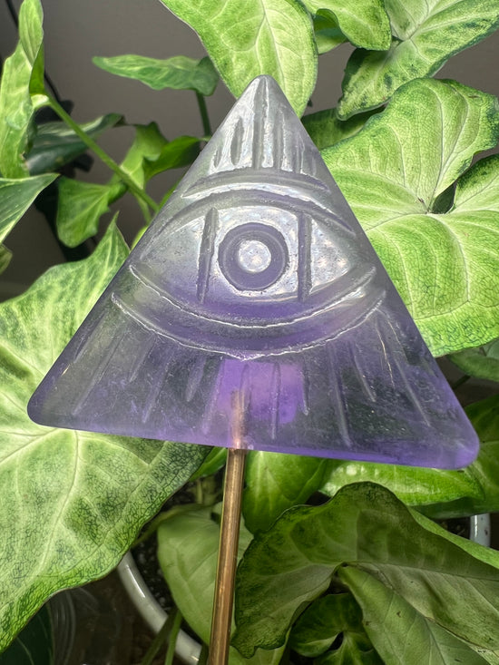 Evil Eye Fluorite Plant Crystal