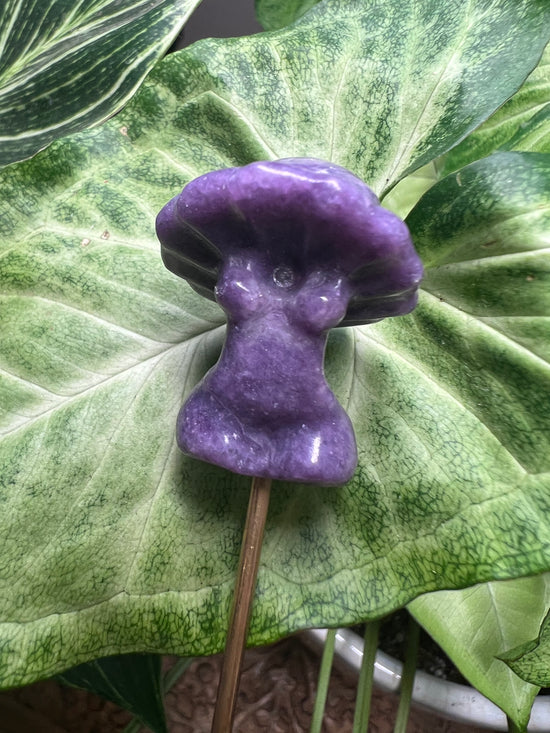 Mushroom Lady Plant Crystal