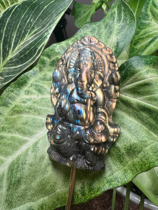 Labradorite Ganesha Plant Crystal