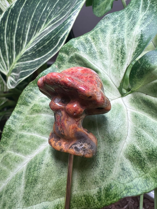 Mushroom Lady Plant Crystal