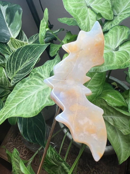 Bat Plant Crystal