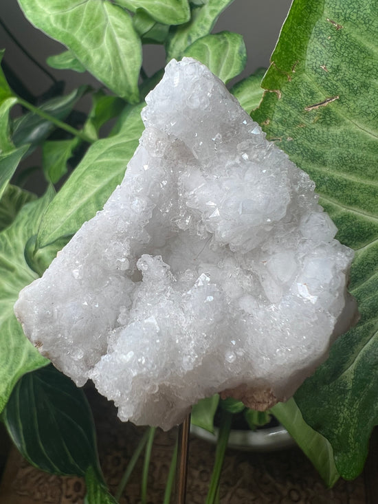 Moroccan Geode Plant Crystal