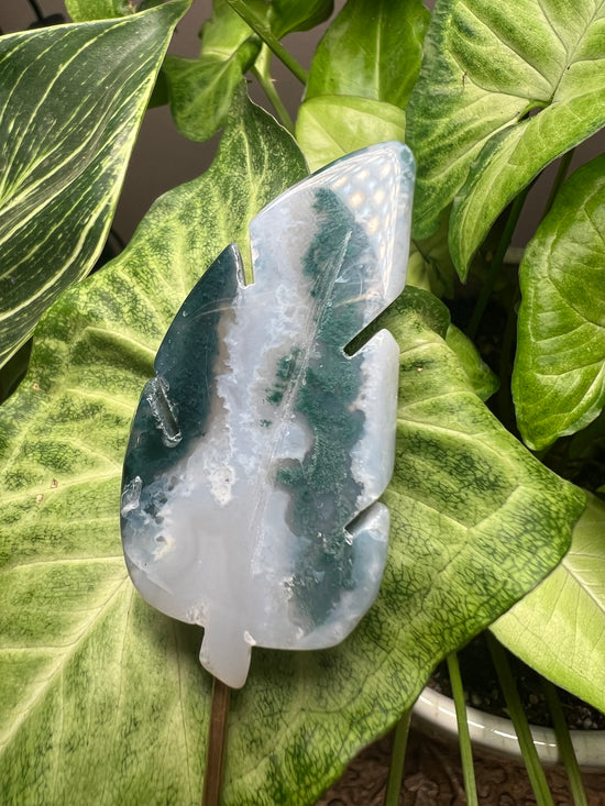 Leaf Moss Agate Plant Crystal