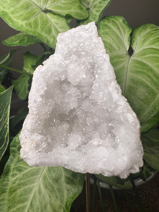 Moroccan Geode Plant Crystal