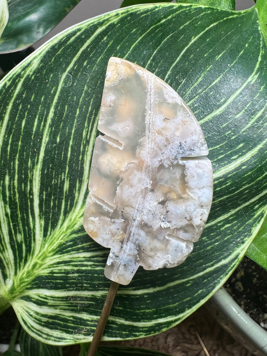 Flower Agate Leaf Plant Crystal