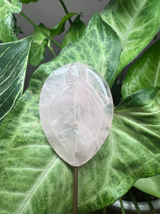 Yoni Plant Crystal